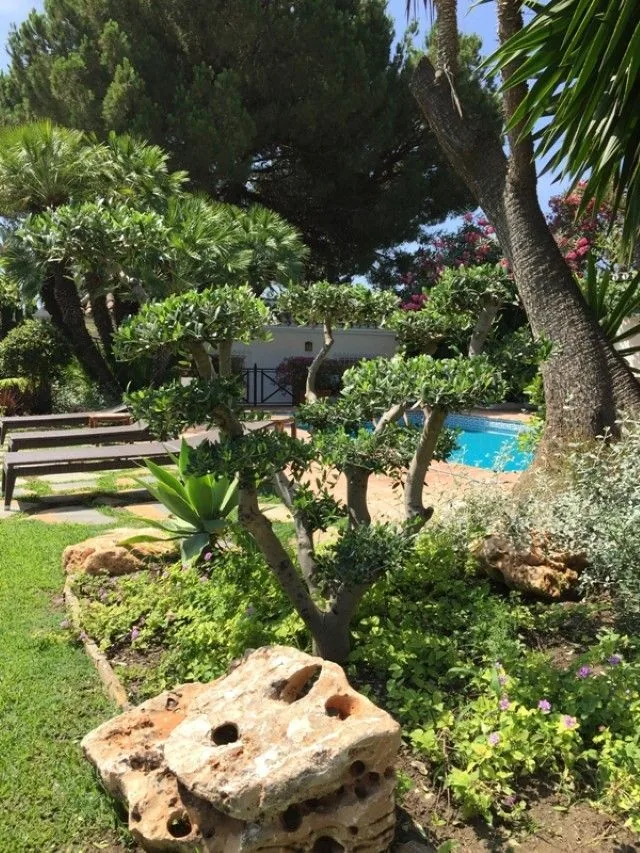 Jardín mediterráneo en Marbella con pinos, gravas y vegetación autóctona