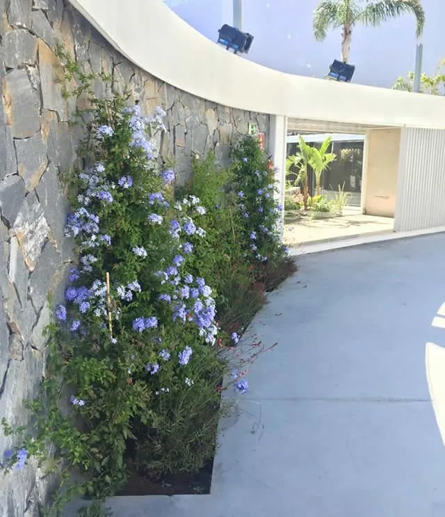 Zona de estar exterior con vegetación en Starlite Marbella