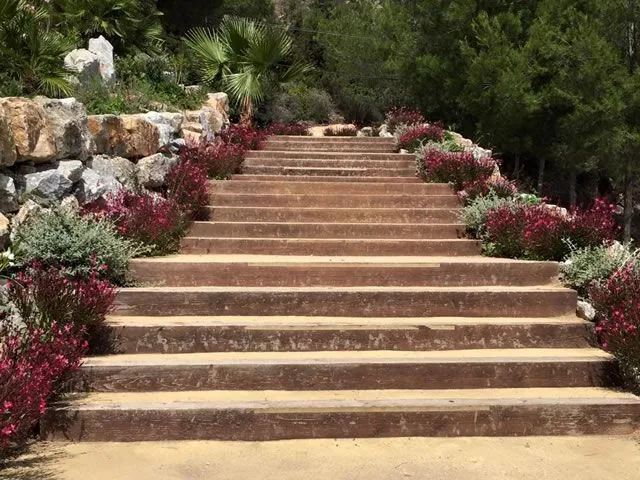 Escaleras de piedra con floración entre roca en Starlite Marbella