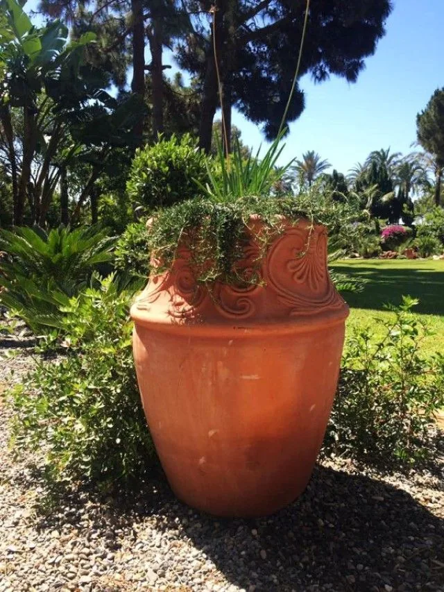 Vaso de barro y vegetación mediterránea en un jardín de Marbella