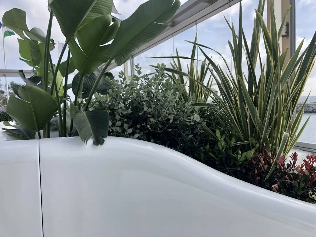 Terraza reformada con jardineras de obra y vegetación